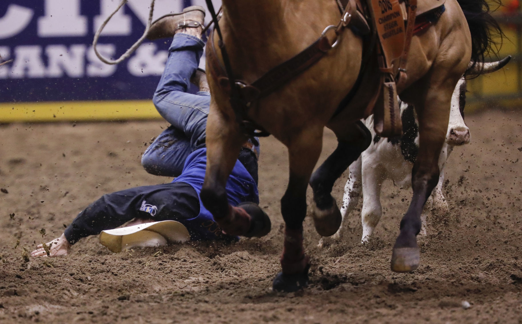 CNFR - Tuesday